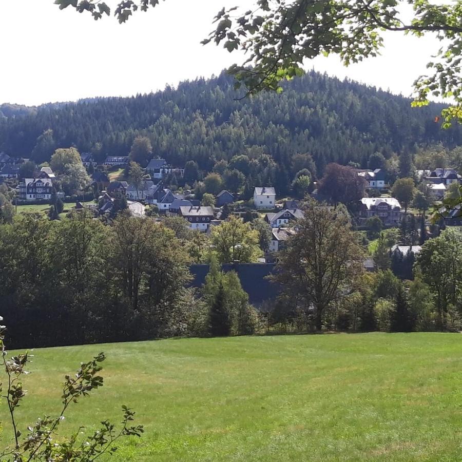 Haus Stefanie Elvire Daire Altenberg  Dış mekan fotoğraf