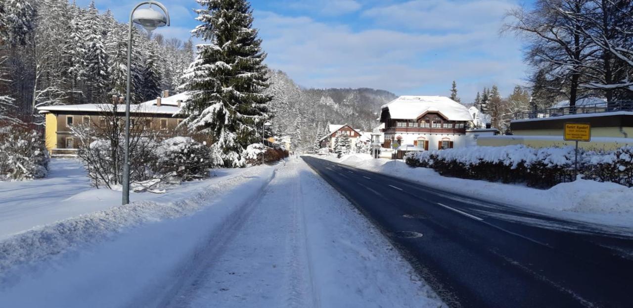 Haus Stefanie Elvire Daire Altenberg  Dış mekan fotoğraf