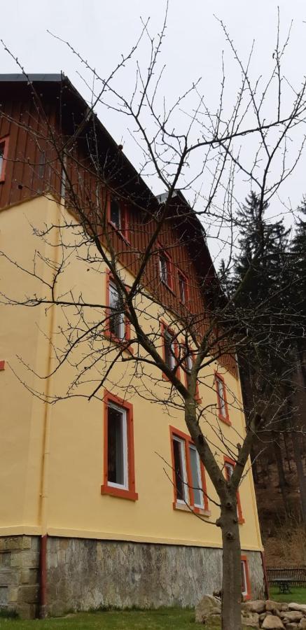 Haus Stefanie Elvire Daire Altenberg  Dış mekan fotoğraf