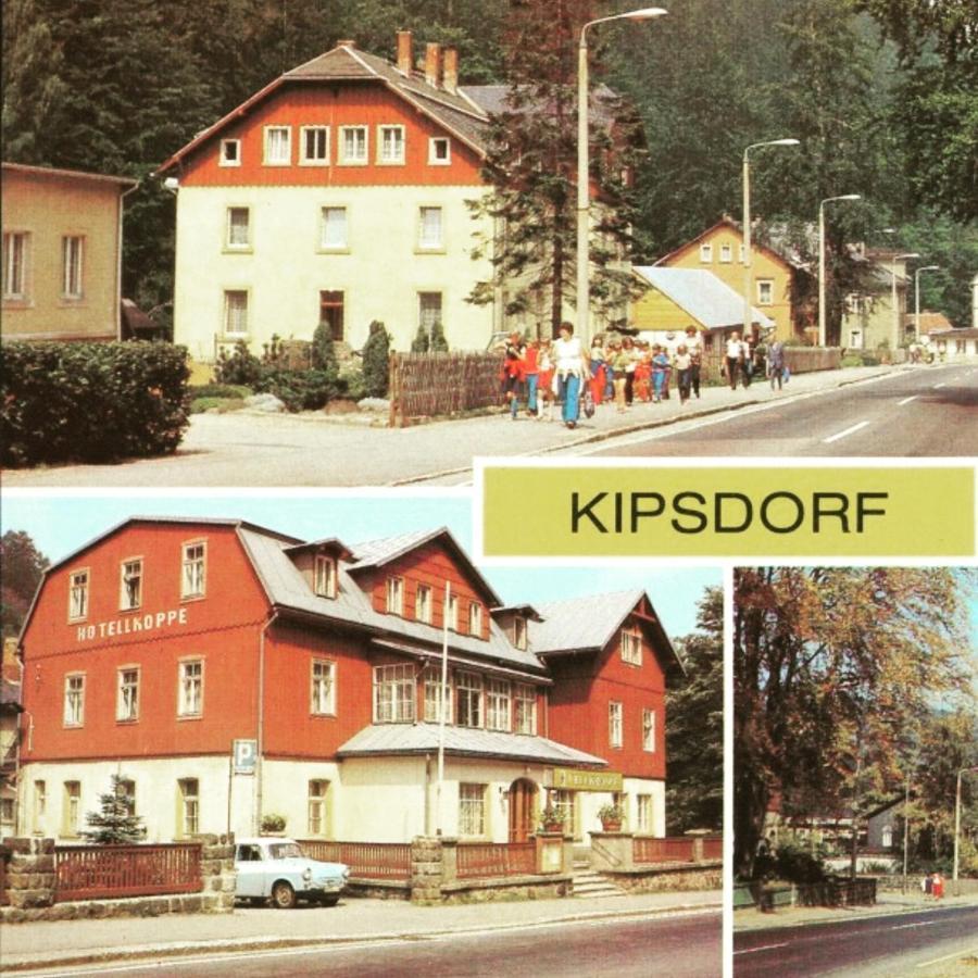 Haus Stefanie Elvire Daire Altenberg  Dış mekan fotoğraf
