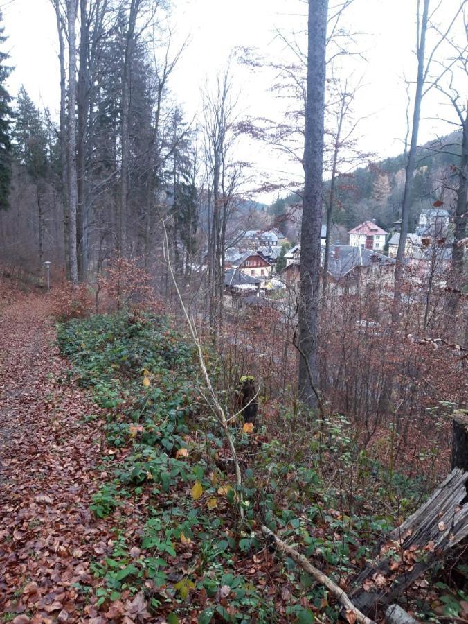 Haus Stefanie Elvire Daire Altenberg  Dış mekan fotoğraf