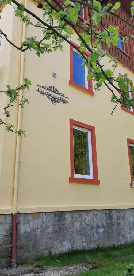 Haus Stefanie Elvire Daire Altenberg  Dış mekan fotoğraf