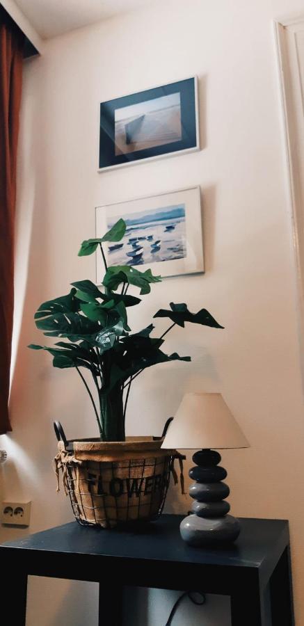 Haus Stefanie Elvire Daire Altenberg  Dış mekan fotoğraf