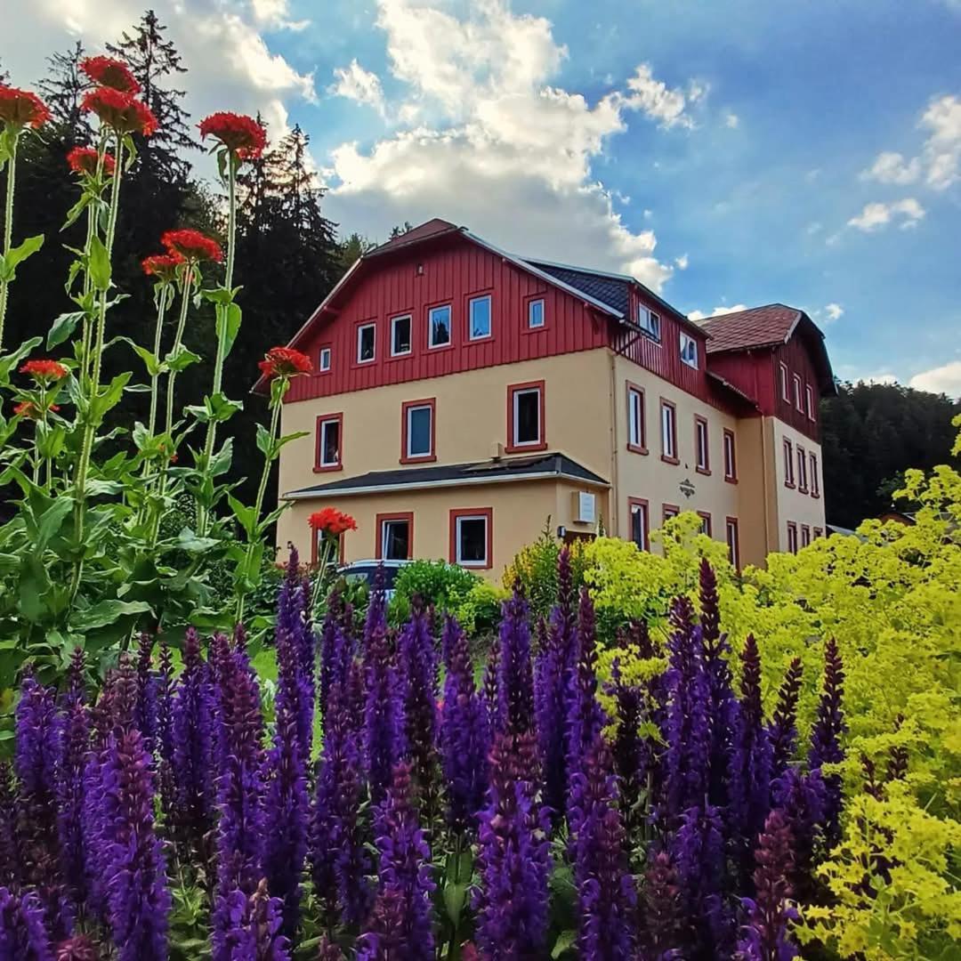 Haus Stefanie Elvire Daire Altenberg  Dış mekan fotoğraf
